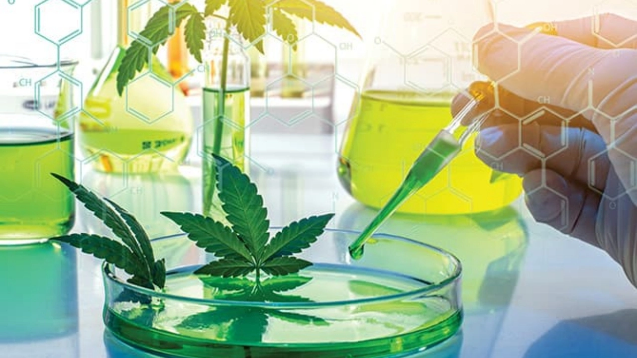 Laboratory Testing
