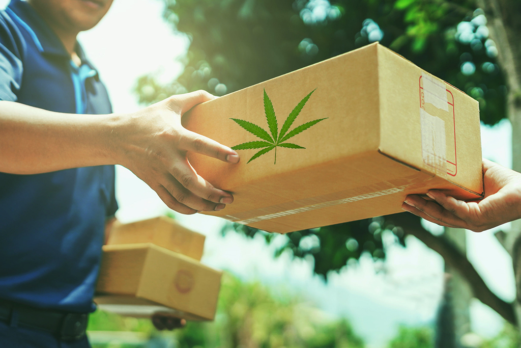 Cannabis Delivery